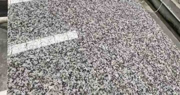 玉溪 芙蓉白光面