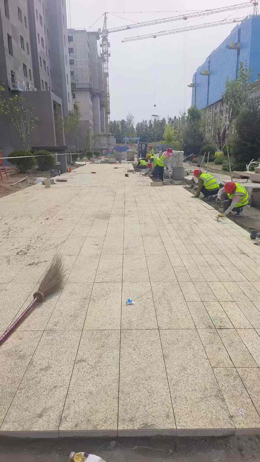 玉溪黄金麻荔枝面地铺案例